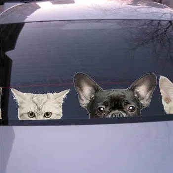 % 3d karikatür hayvanlar kediler köpekler Duvar sticker Banyo Tuvalet penceresi araç buzdolabı dekorasyon sanat sticker duvar posteri çıkartmalar