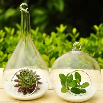 Moda tasarımı açık cam vazo ev dekor çiçek vazo asılabilir Yaratıcı Ev Dekorasyonu panters ev saksı çiçeği