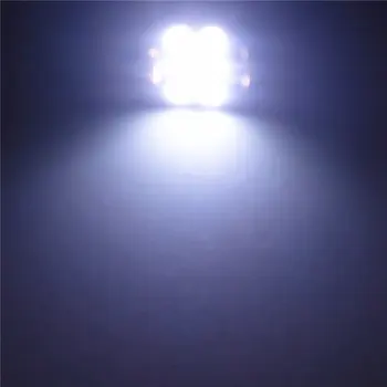12 V Üst Okuma Gövde Lisans Kurulu Işık için Araba Beyaz Renk Çift İğne Ampul Lamba(2*3*5050 SMD Lamba)31 mm C5W LED