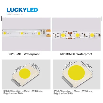LUCKYLED şerit IP45 su Geçirmez 3528 5050 SMD 60LED/M Esnek DC Işık beyaz sıcak beyaz kırmızı yeşil mavi sarı 5m/rulo LED