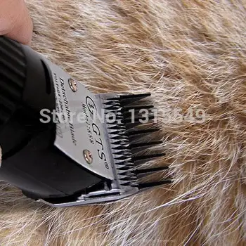 Köpek Elektrikli Hayvan Saç İçin elektrikli Hayvan Saç Kesme Makinesi Düzeltici Profesyonel Saç Kesme makinesi Tıraş Makine aletleri