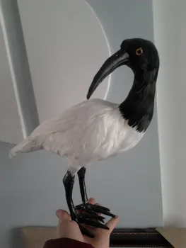 Büyük 30x21cm beyaz ve siyah Tepeli Ibıs kuş,polietilen&kürk el Figürinler bahçe dekorasyon oyuncak hediye a1929