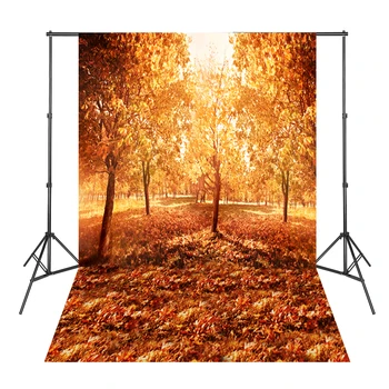 Güzel Sonbahar Altın Ağaçların Yaprakları Fotoğraf Stüdyosu için Arka plan Fotoğraf Zemin Resimli Para Bodas