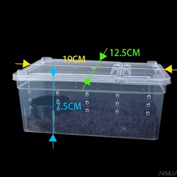 Sürüngen teraryum için Canlı yem Kutusu G03 Bırak gemi Islah Plastik Kutu Böcek Sürüngen Taşıma Saydam