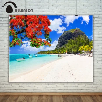 Allenjoy fotoğrafçılık zemin güzel plajlar güneşli Adası tropikal tatil arka plan fotoğraf stüdyosu kamera fotografica