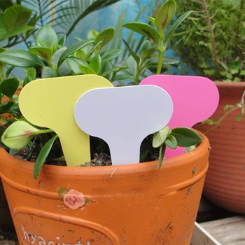 50pcs/set Plastik Bitki T-tipi Etiketler İşaretleri Kreş Bahçe Dekorasyon Bahçe Gri 6 x10cm Etiketler