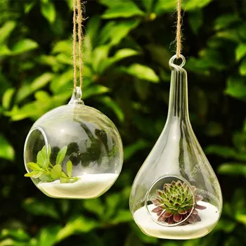 Moda tasarımı açık cam vazo ev dekor çiçek vazo asılabilir Yaratıcı Ev Dekorasyonu panters ev saksı çiçeği