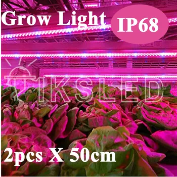 2 adet 5 katı Şerit LED Işık Büyümek:1 1 5 Kırmızı Mavi Akvaryum Sera Hidroponik Bitki Yetiştirme Lambası