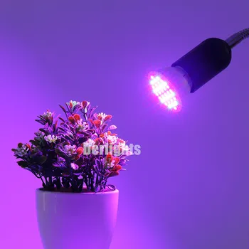 Toptan Büyümek Işık 10 adet/lot AC85-265V 3W E27 Kırmızı+Mavi 36 LED Akvaryum bitkileri için LED bitki Kapalı Bitki Büyümek Işıkları LED