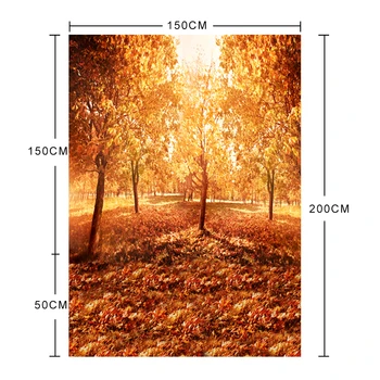 Güzel Sonbahar Altın Ağaçların Yaprakları Fotoğraf Stüdyosu için Arka plan Fotoğraf Zemin Resimli Para Bodas