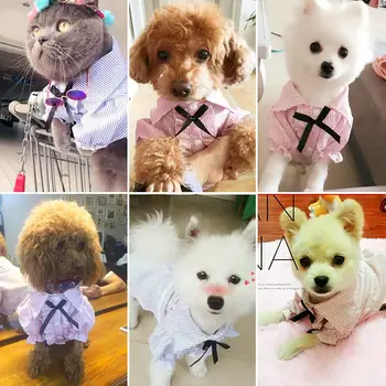 Yaz Küçük Köpek T Gömlek Bahar Ucuz Sevimli Moda Evcil Kedi Kostümü manteau chien ubranka dla psa İçin Kıyafet Köpekler Renkli