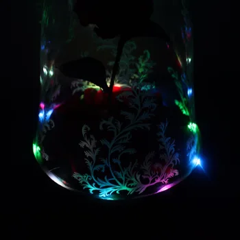 Güzellik ve Canavar Büyülü Cam Kapak Prop Sonsuz Çiçek Mücevher Kutusu LED Işıklar Sevgililer Günü Yılbaşı Hediye Gül