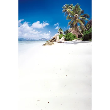 Fotoğraf için Allenjoy fotoğraf arka plan plaj deniz gökyüzü beyaza hindistan cevizi ağacı yaz fotoğraf güzel zemin vinil arka planlar