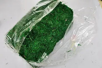 50 g/200 g/300 g/400 g/600 g/700g/torba kuru gerçek yeşil Yosun süs bitkisi saksı dekor için yapay çim aksesuarları vazo Tutmak