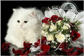 Çapraz Dikiş Kitleri Sevimli Kedi Çiçek Boyama El Sanatları Sanat 14CT Baskısız İşlemeli el Yapımı DMC Duvar Ev Dekor Nakış Gül