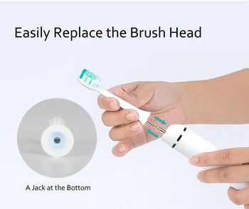 2 kafalı Dişler ile doğal ürünler dağıtım yeni şarj edilebilir Elektrikli diş Fırçası Kablosuz Şarj Ultrasonik Sonik diş Fırçası yedek Fırça