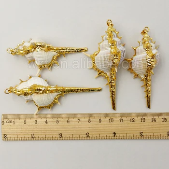 Altın rengi kolye ile WT-JP023 Toptan Moda Takı altın deniz kabuğu kolye , Sıcak Satış Gerçek deniz kabuğu trompet kadınlar