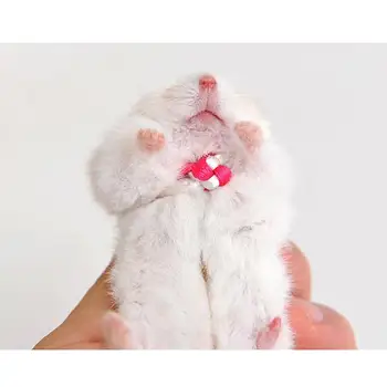 Yeni Ayarlanabilir Tasma Yaka Kobay Küçük Evcil Hamster Çekiş Kalite Ücretsiz Kargo İp Halat