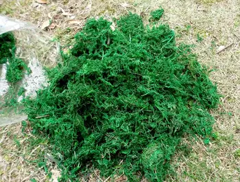 50 g/200 g/300 g/400 g/600 g/700g/torba kuru gerçek yeşil Yosun süs bitkisi saksı dekor için yapay çim aksesuarları vazo Tutmak