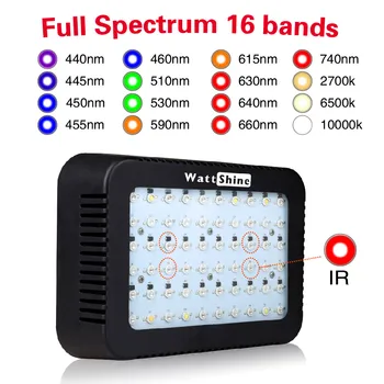 Wattshine Tam spektrum lamba 16 bantları Hiç pas Akıllı Sıcaklık kontrolü Güvenlik Enerji tasarrufu Sertifika CE büyümek 300 WA