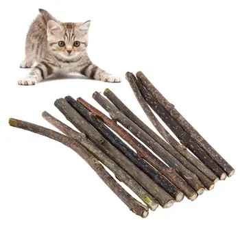 10 ADET Kedi Diş Temizliği Saf Doğal Catnip Pet Molar diş Macunu Sopa Kedi Temizlik Diş Aperatifler Sopa Oyuncak Malzemeleri Kedi Kedi